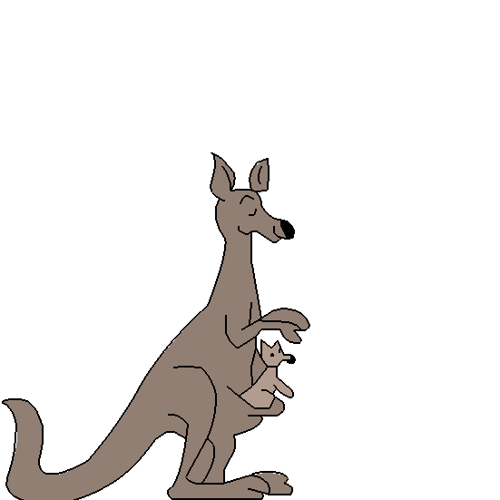 kangoeroe met baby in buidel