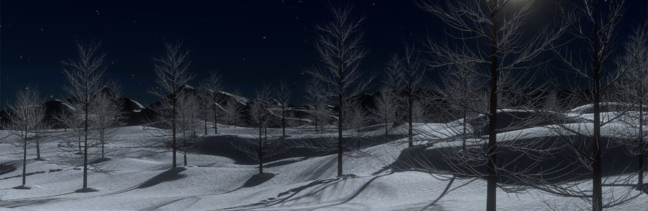 sneeuwlandschap bij nacht