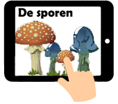 Link naar meer info over paddenstoelsporen
