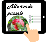 Puzzel rond alle thema's