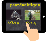 woordenschat Nederlands paardachtigen