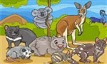 Zoek de verschillen Australische wilde dieren