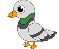 duif
