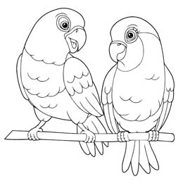 kleurplaat valentijn lovebirds